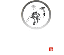百笑市場